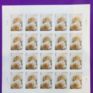 Set of 150 White Roses Perfect for weddings, ONLY HAVE A FEW LEFT.